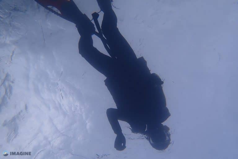 Experiential learning & Environmental Service ~ Autumn Camp 2019 20 Under The Sea
